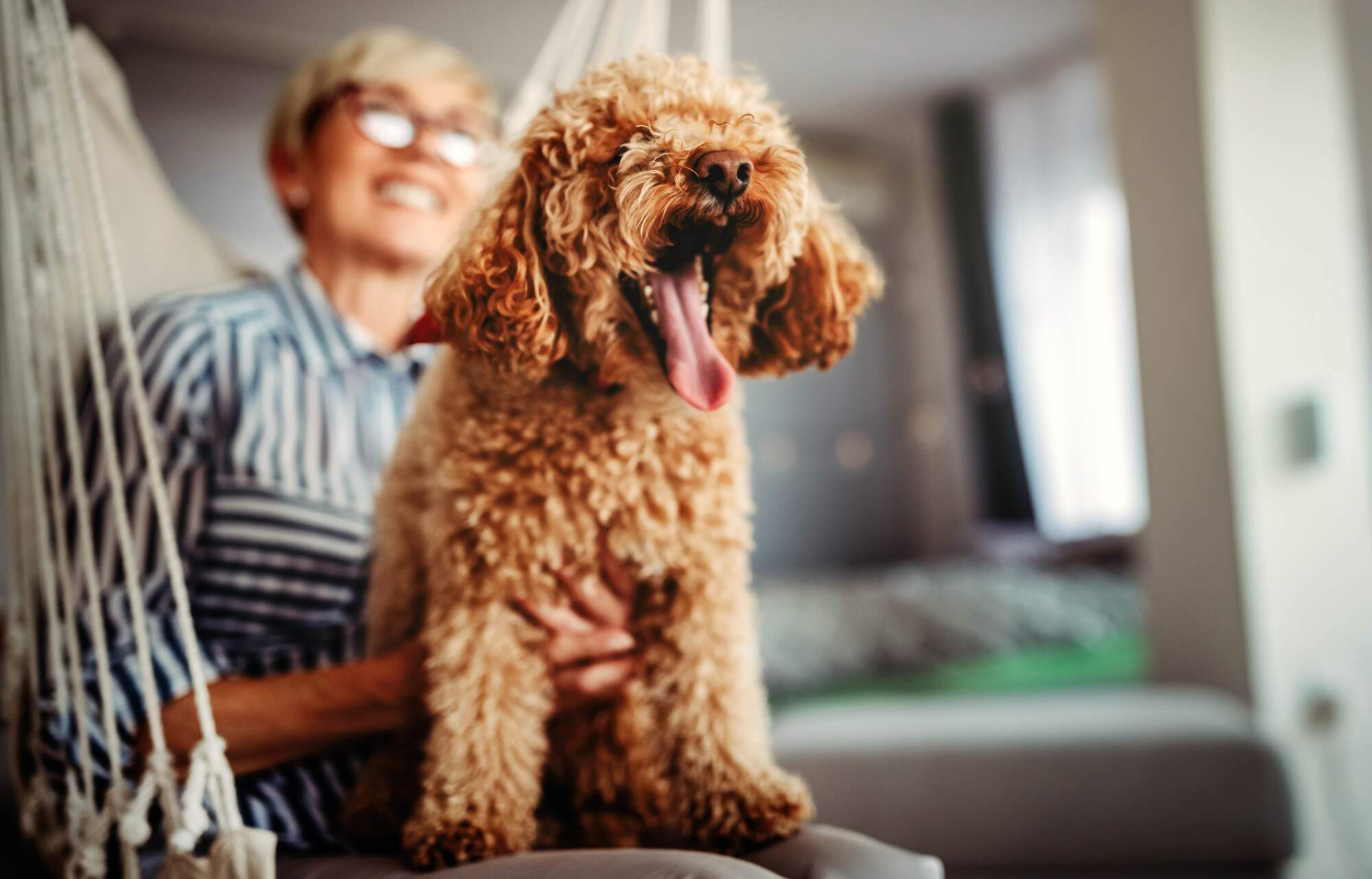 shutterstock_1865643874