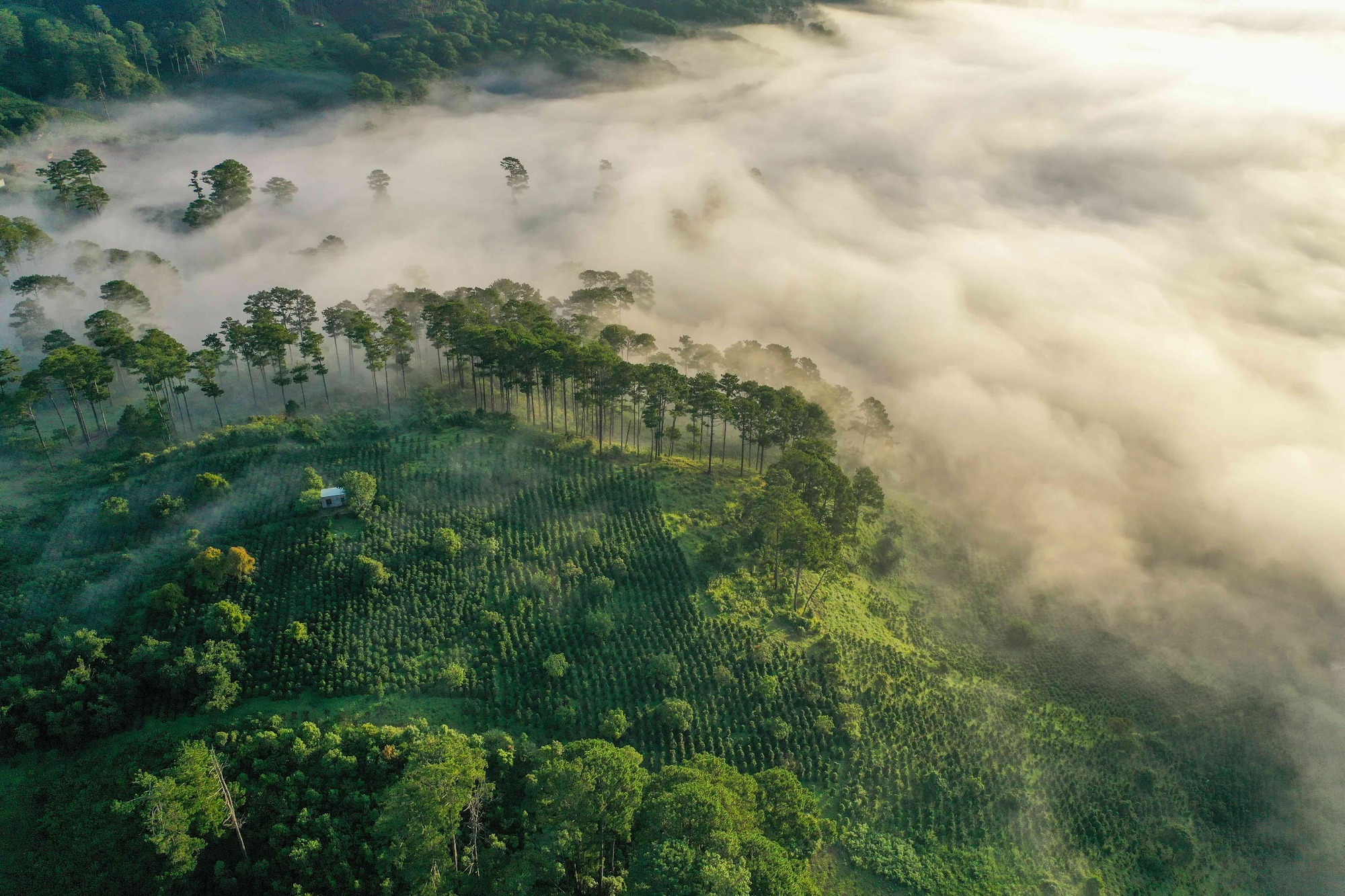 GettyImages-1733407564