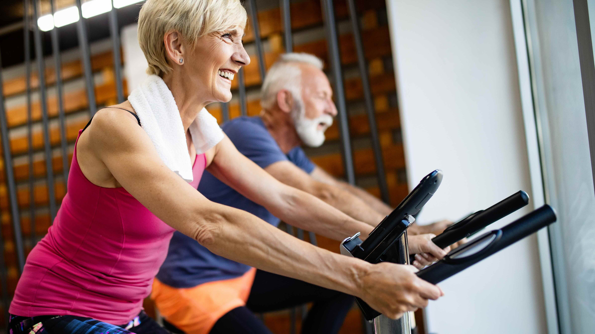 shutterstock_1477841771-cropped